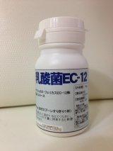 乳酸菌EC-12　ペット用栄養補助食品　１０ｇ，５００ｇ　（粉末）  #犬 #猫 #鳥 #ウサギ #エキゾチックアニマル