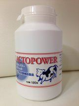 LACTOPOWER　ラクトパワー　ペットの健全な成長と健康維持（粉末、錠剤） #犬 #猫　