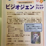 ビジオジェン　Eye care　30錠　動物用栄養補助食品