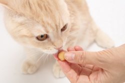 画像2: MediBall 投薬補助おやつ　猫用 かつお味【1袋15個入り(約20ｇ)】
