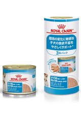 ロイヤルカナン スターター ムース マザー＆ベビードッグ【195gx3缶】