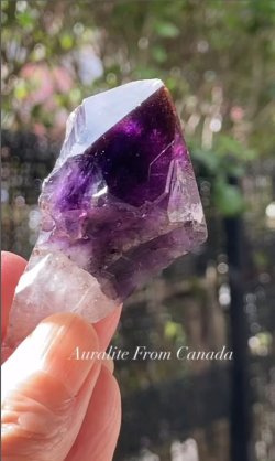 画像3: オーラライト カナダ産(Auralite From Canada)