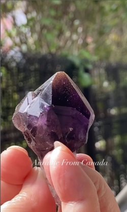 画像4: オーラライト カナダ産(Auralite From Canada)