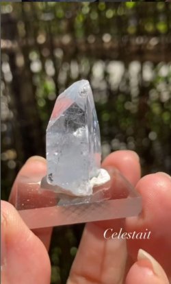 画像4: セレスタイト マダガスカル産 (No.21)