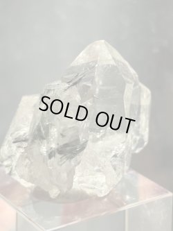 画像1: クォーツ アクチノライト　イタリア産 ( Quarz Actinolite, Miage Glacier,Courmayeur, Aosta Valley, Aosta Valley, Italy )