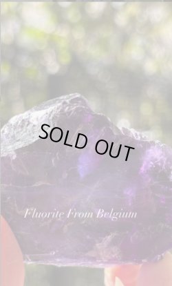 画像2: フローライト　ベルギー産 ( Fluorite, Boltry quarry, Seilles, Andenne, Namur, Wallonia, Belgium )