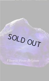 フローライト　ベルギー産 ( Fluorite, Boltry quarry, Seilles, Andenne, Namur, Wallonia, Belgium )