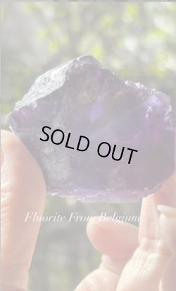 画像3: フローライト　ベルギー産 ( Fluorite, Boltry quarry, Seilles, Andenne, Namur, Wallonia, Belgium )