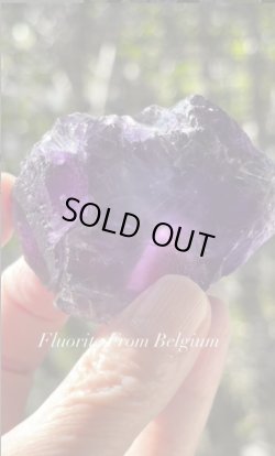 画像5: フローライト　ベルギー産 ( Fluorite, Boltry quarry, Seilles, Andenne, Namur, Wallonia, Belgium )