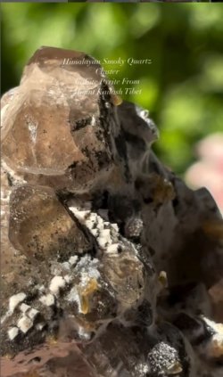 画像6: ヒマラヤンスモーキークォーツクラスター カルサイト パイライト共生 カイラス山 チベット産 ( Himalayan Smoky Quartz Cluster, Calsite Pyrite, Mount Kailash, Western Tibetan Plateau, Tibet )