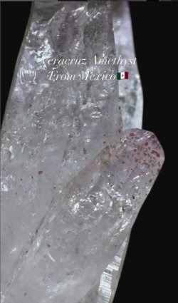 画像5: ベラクルス アメジスト　ベラクルス州 メキシコ産