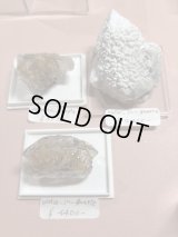 Water_in_quartz様専用 (2025/08/09 ＋ 2025/08/16 ライブ配信)