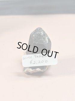 画像1: u_u_takako様専用 (2025/09/13 ライブ配信)