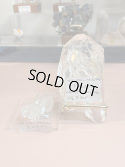 画像1: marippe_chocolateo様専用 (2025/09/21 ライブ配信)