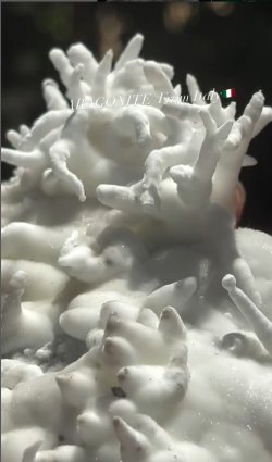 画像1: アラゴナイト　イタリア産
