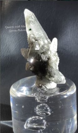 画像4: 水晶、ブラックルチル共生　スカルドゥ パキスタン産