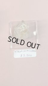mizuhikimicchoco様専用 (2025/10/11 ライブ配信)