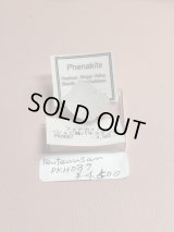 tentennsan様専用 (2025/10/25 ライブ配信)