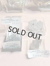 kuromanta_pyramid様専用 (2025/10/25 ライブ配信)