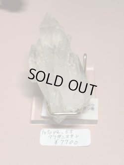 画像1: totoya_55様専用 (2025/11/01 ライブ配信)