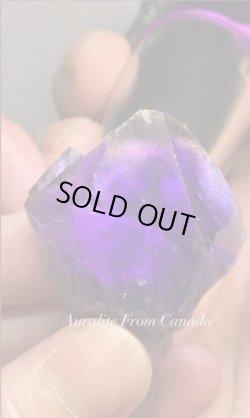 画像2: totoya_55様専用 (2025/11/01 ライブ配信)