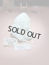 stoneholic1226様専用  (2025/11/08 ライブ配信)