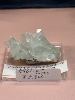 画像1: 5461.ett様専用  (2025/11/15 ライブ配信)