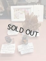 kuromanta_pyramid様専用  (2025/12/06 ライブ配信)