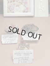 kiki07140808様専用  (2025/12/06 ライブ配信)