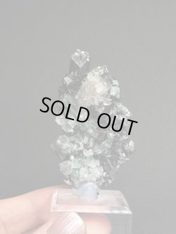 画像1: kiki07140808様専用  (2025/12/18 DM連絡)