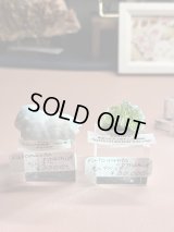 kuromanta_pyramid様専用  (2025/12/27 ライブ配信)