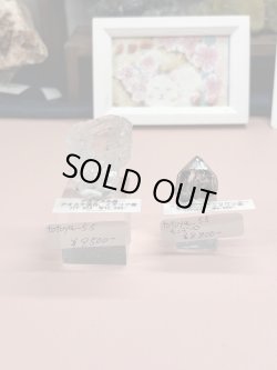 画像1: totoya＿55様専用  (2026/01/10 ライブ配信)