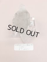 water_in_quartz様専用  (2026/01/31 ライブ配信)