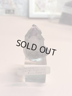 画像1: tentennsan様専用  (2026/02/07 ライブ配信)