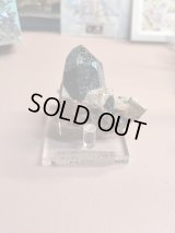 keiichi_nishikawa_zagan様専用  (2026/02/07 ライブ配信)