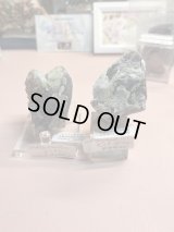 indigoplanet.101様専用  (2026/02/07 ライブ配信)