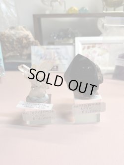 画像1: nell32ygem24様専用  (2026/02/07 ライブ配信)