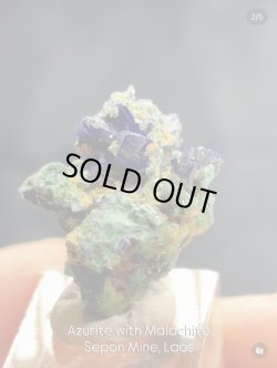 画像1: yuuichi Ito様専用  (2026/02/13 DM連絡)