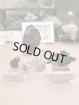 kiki07140808様専用  (2026/02/21 ライブ配信)