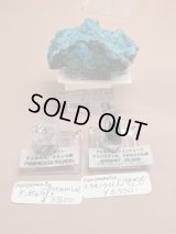 kuromanta_pyramid様専用  (2026/02/21 ライブ配信)