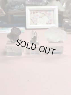 画像1: totoya_55様専用  (2026/02/28 ライブ配信)