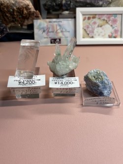 画像1: kuromanta_pyramid様専用  (2026/03/07 ライブ配信)