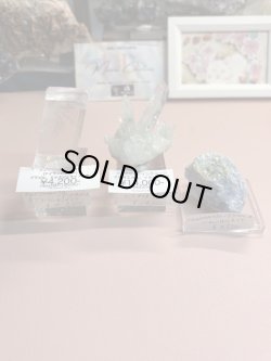 画像1: kuromanta_pyramid様専用  (2026/03/07 ライブ配信)