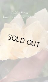 meishushuday様専用   (2026/03/07 ライブ配信)