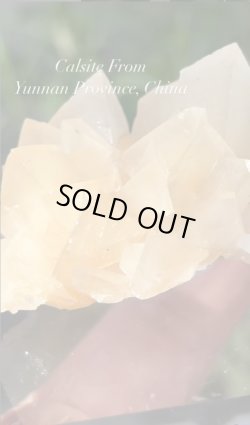 画像1: meishushuday様専用   (2026/03/07 ライブ配信)