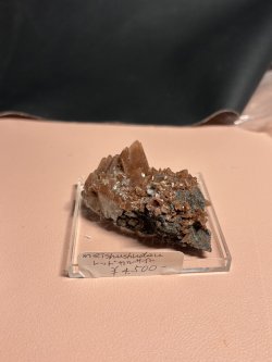 画像2: meishushuday様専用   (2026/03/07 ライブ配信)