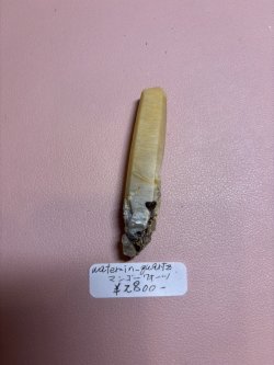 画像1: water_in_quartz様専用  (2026/03/28 ライブ配信)