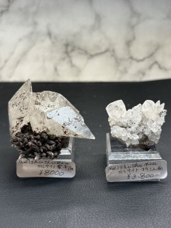 画像1: meishushudau様専用  (2026/04/18 ライブ配信)