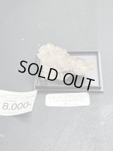 totoya_55様専用 （2026/04/18 ライブ配信）