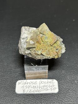 画像1: wildrose pocket様専用 （2026/06/27 DM連絡）